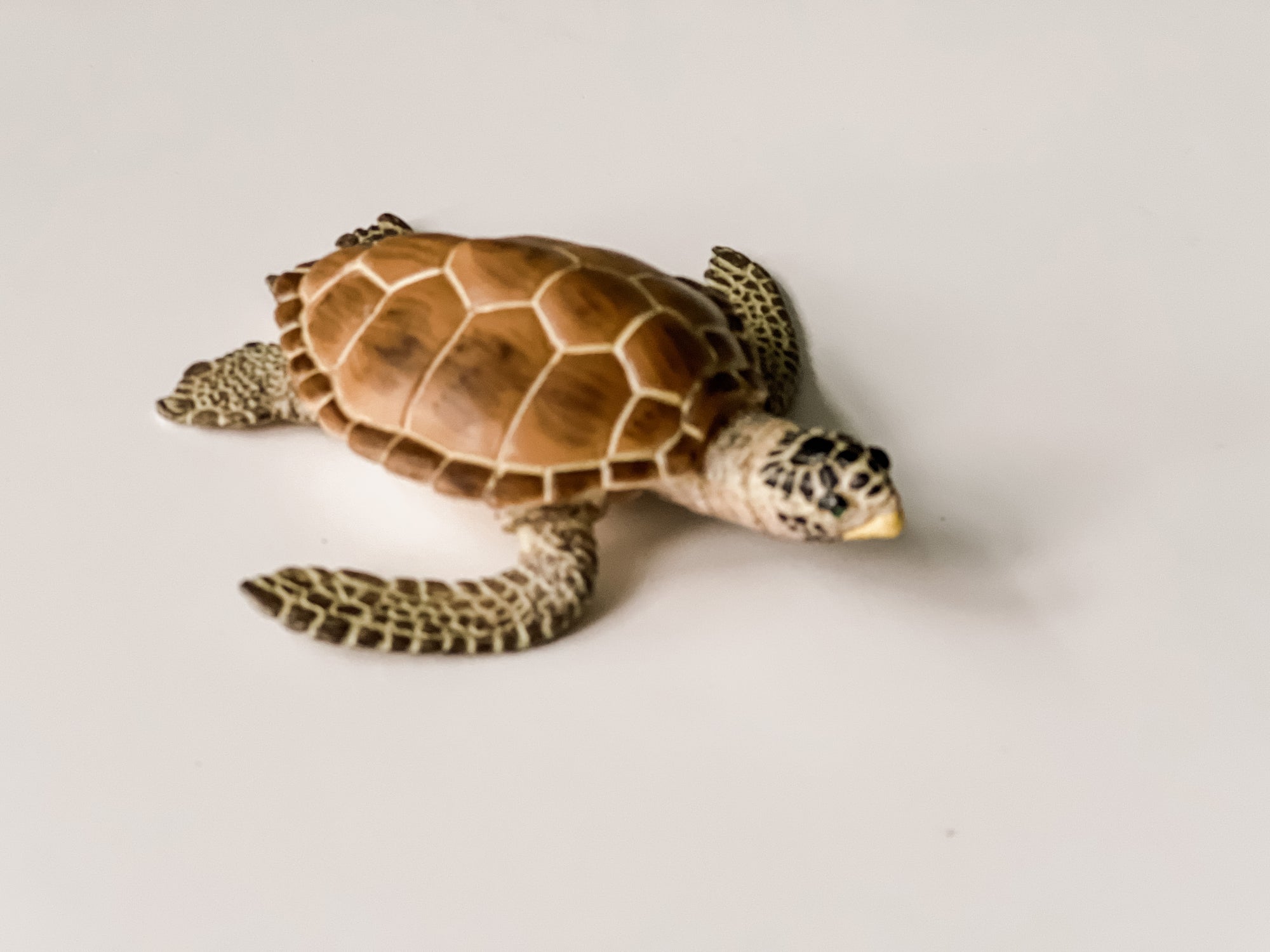 Loggerhead Turtle Figurine