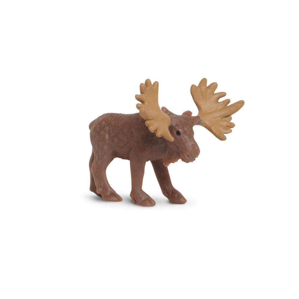 Safari Mini Moose