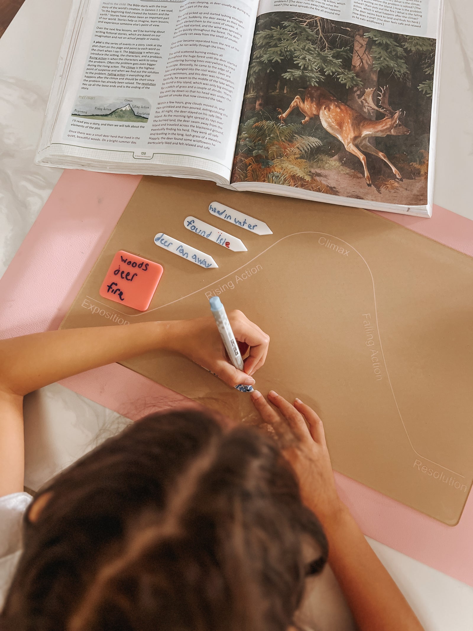 Let's Plot Story Elements!