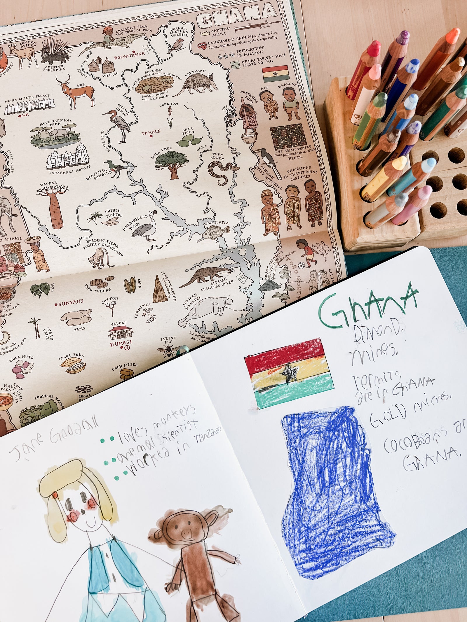 Africa Biome and Geography Unit Study