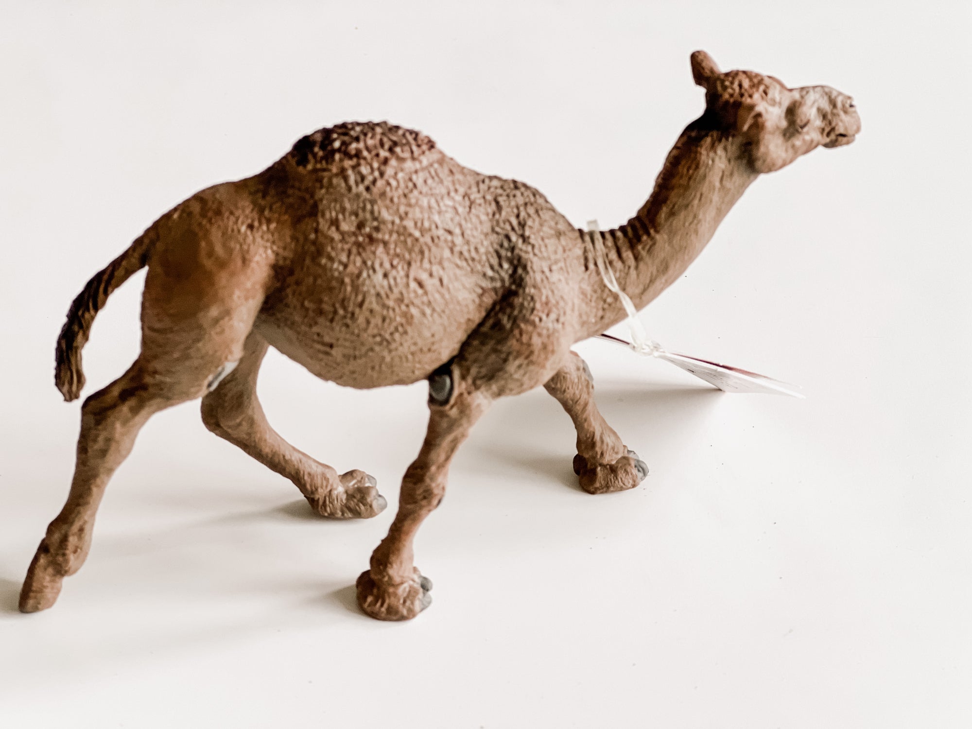 Dromedary Full Size Camel Figurine