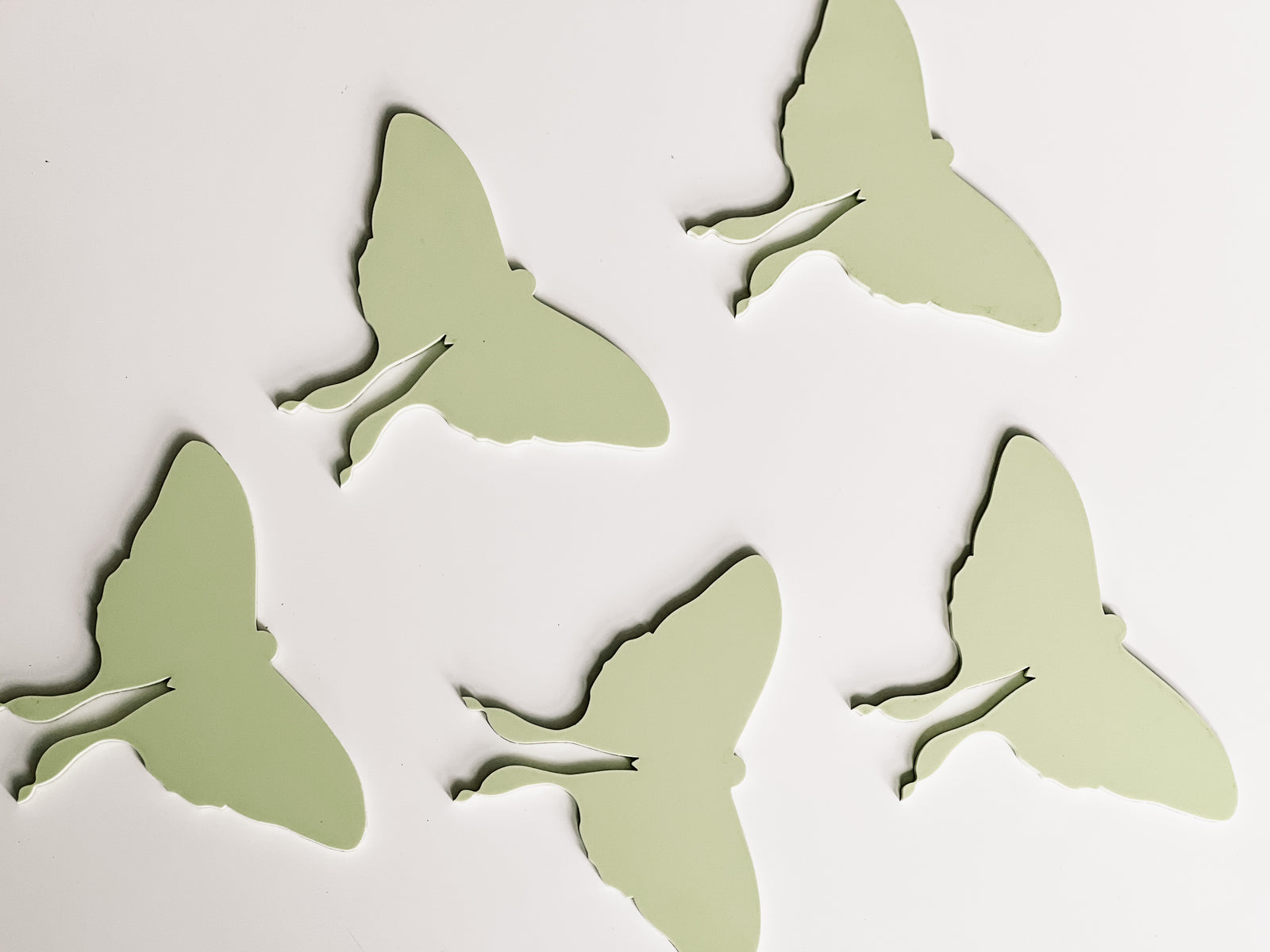 Mini Writables™ (Moths Set of 5)