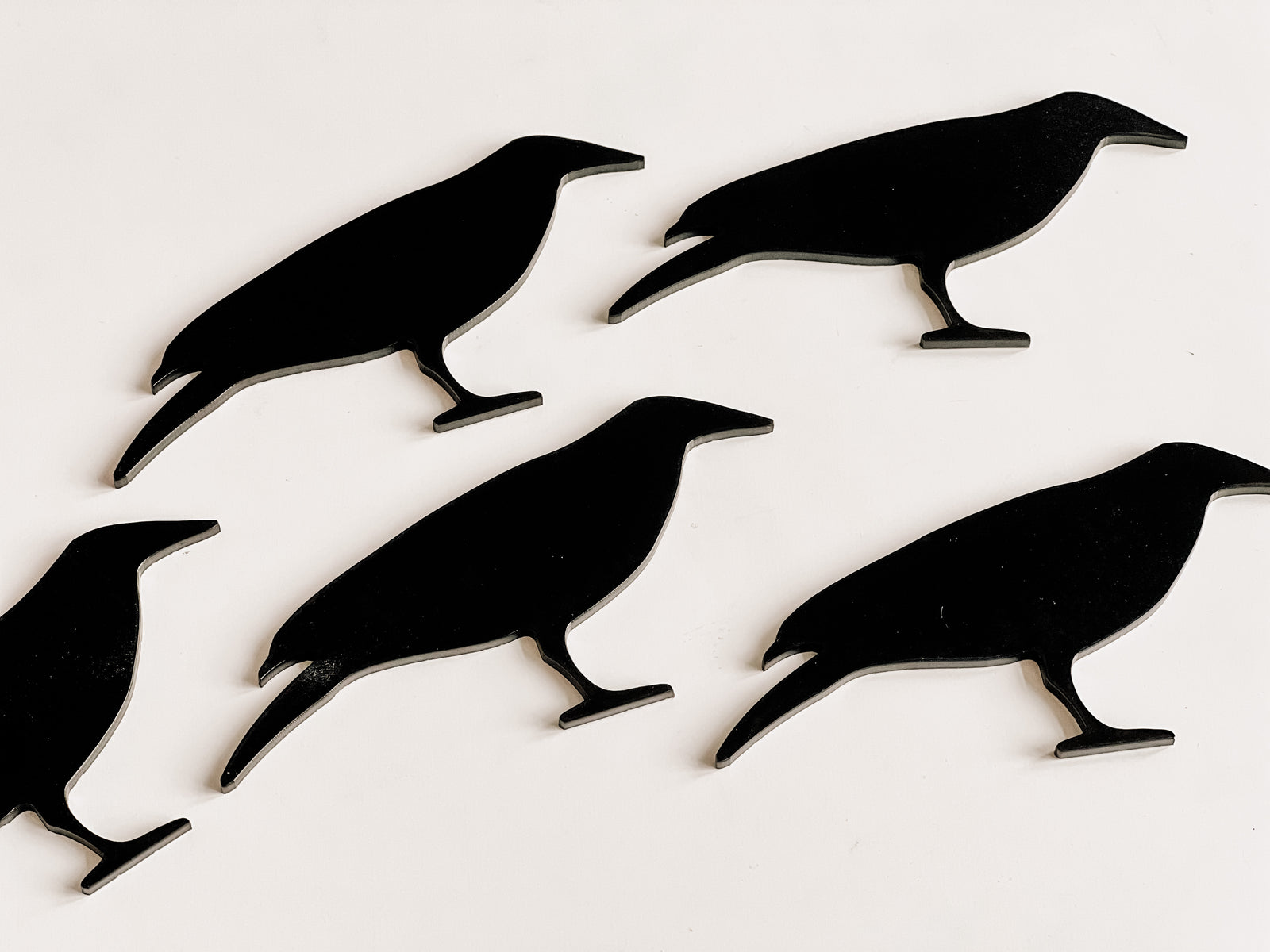 Mini Writables™ (Crow Set of 5)