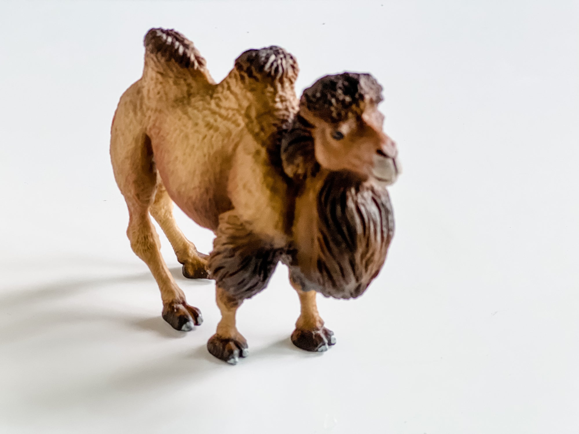 Full Size Camel Figurine