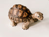 Full Size Tortoise Figurine