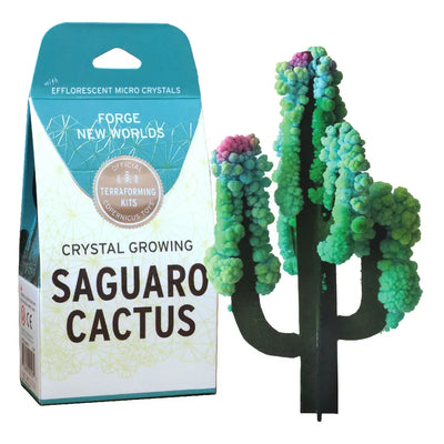 Crystal Growing Cactus