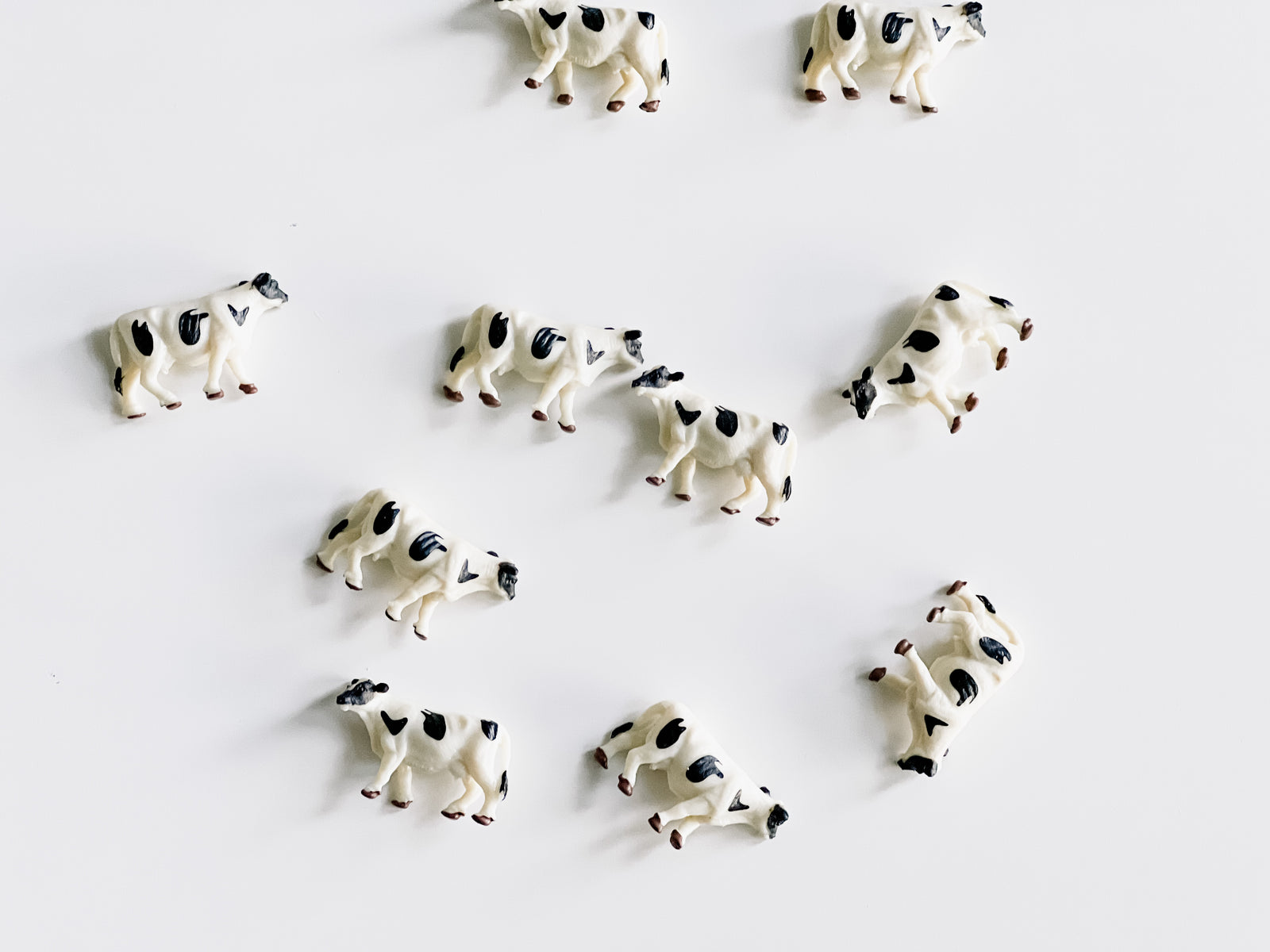Mini Cow Figurines