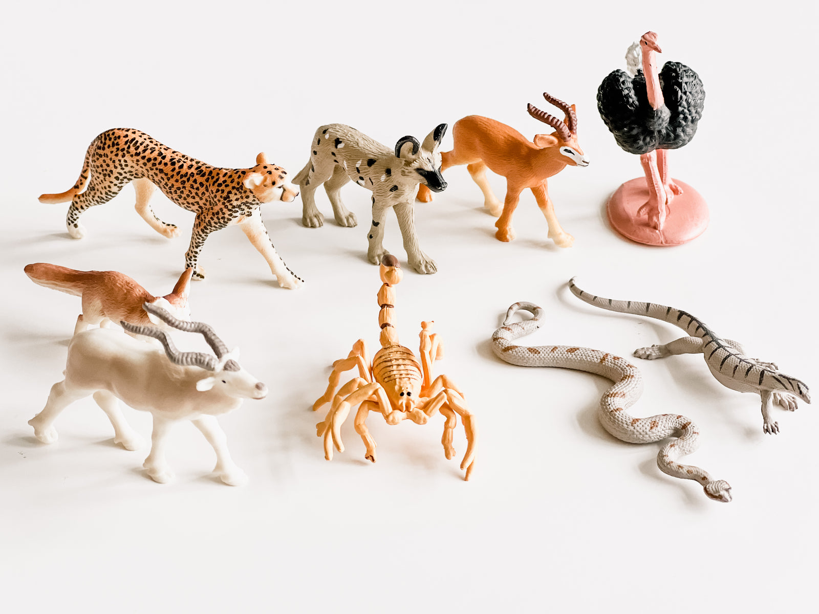 Sahara Desert TOOB Biome Animal Figurines