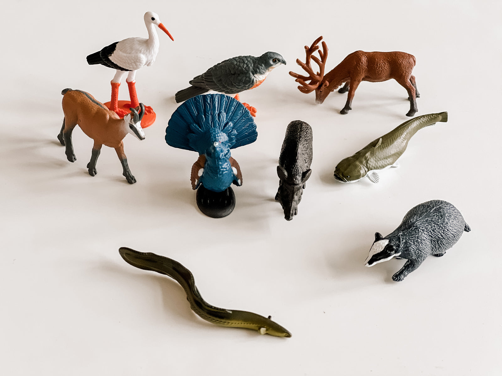 European Animals TOOB