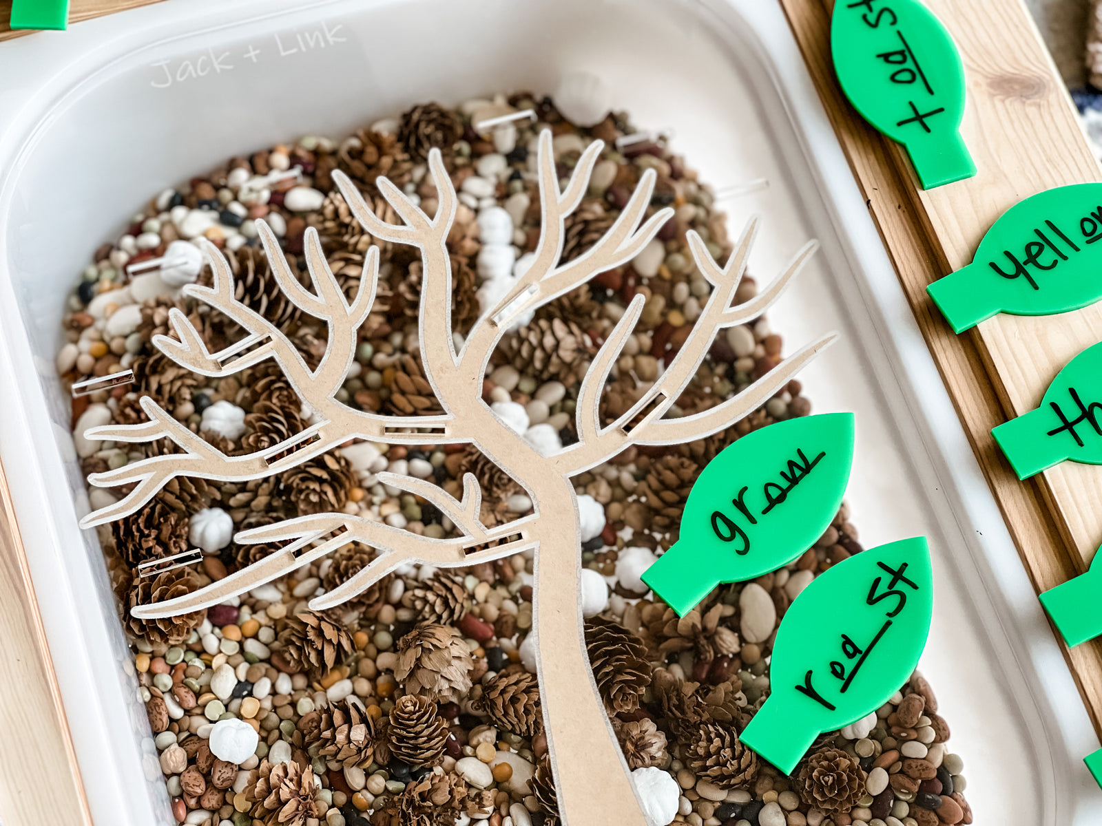 Slotted Dry Erase Board™ Tree