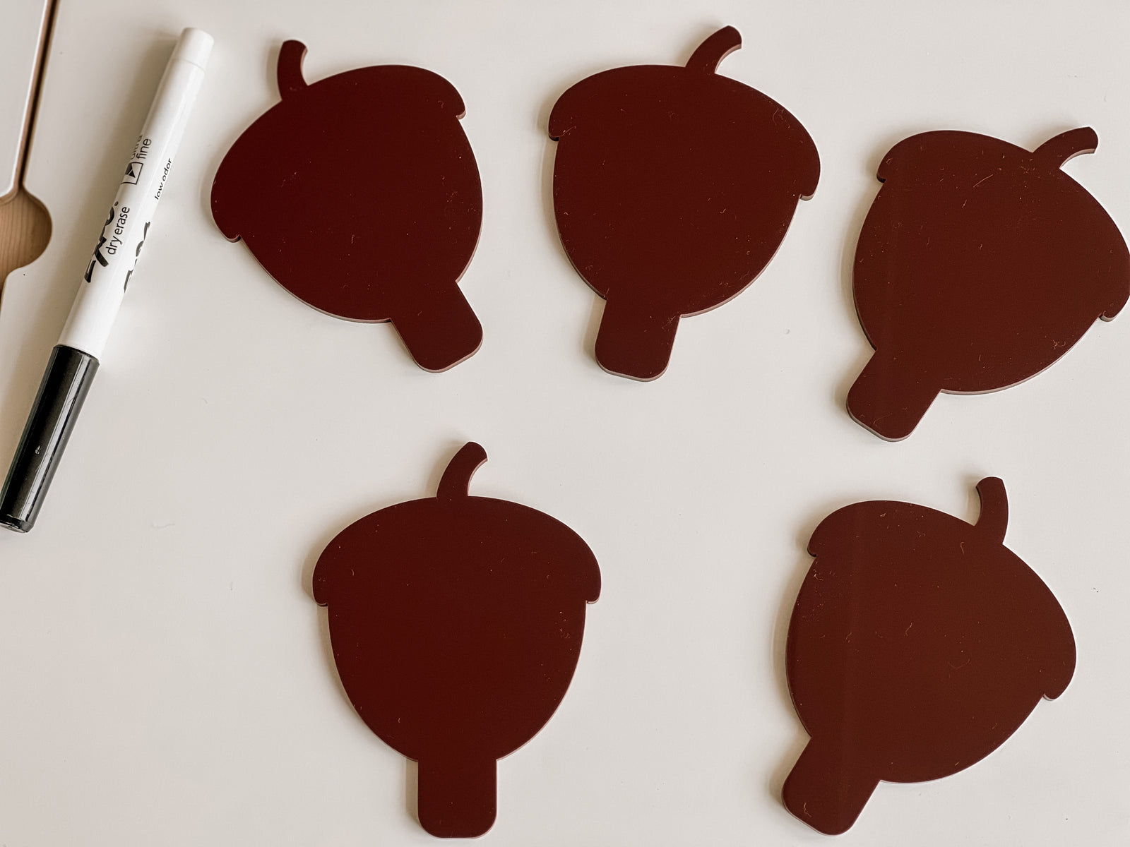 Slotted Mini Writables™ (Acorns Set of 5)