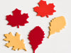 Mini Writables™ (Leaves Set of 5)
