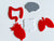 Mini Writables™ (Human Organs Set of 5)