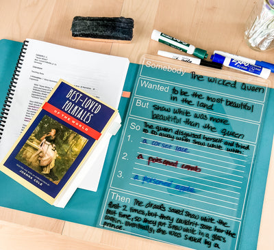 Easy Dry Erase Expanded SWBST Graphic Organizer™