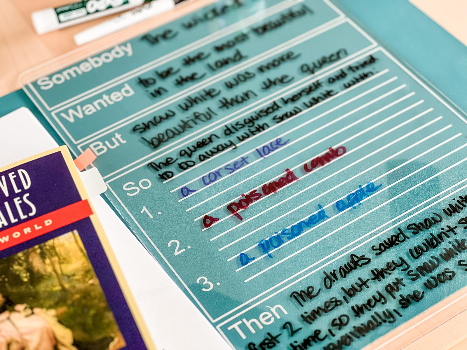 Easy Dry Erase Expanded SWBST Graphic Organizer™
