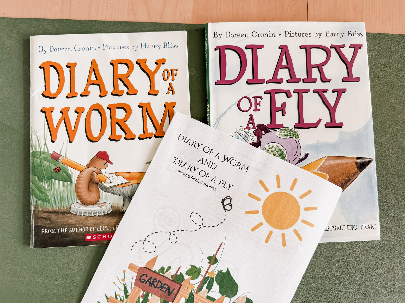 The Diary of a Worm/Fly