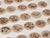 Animal Coins (Set of 26 Coins)
