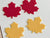 Mini Writables™ (Maple Leaves Set of 5)