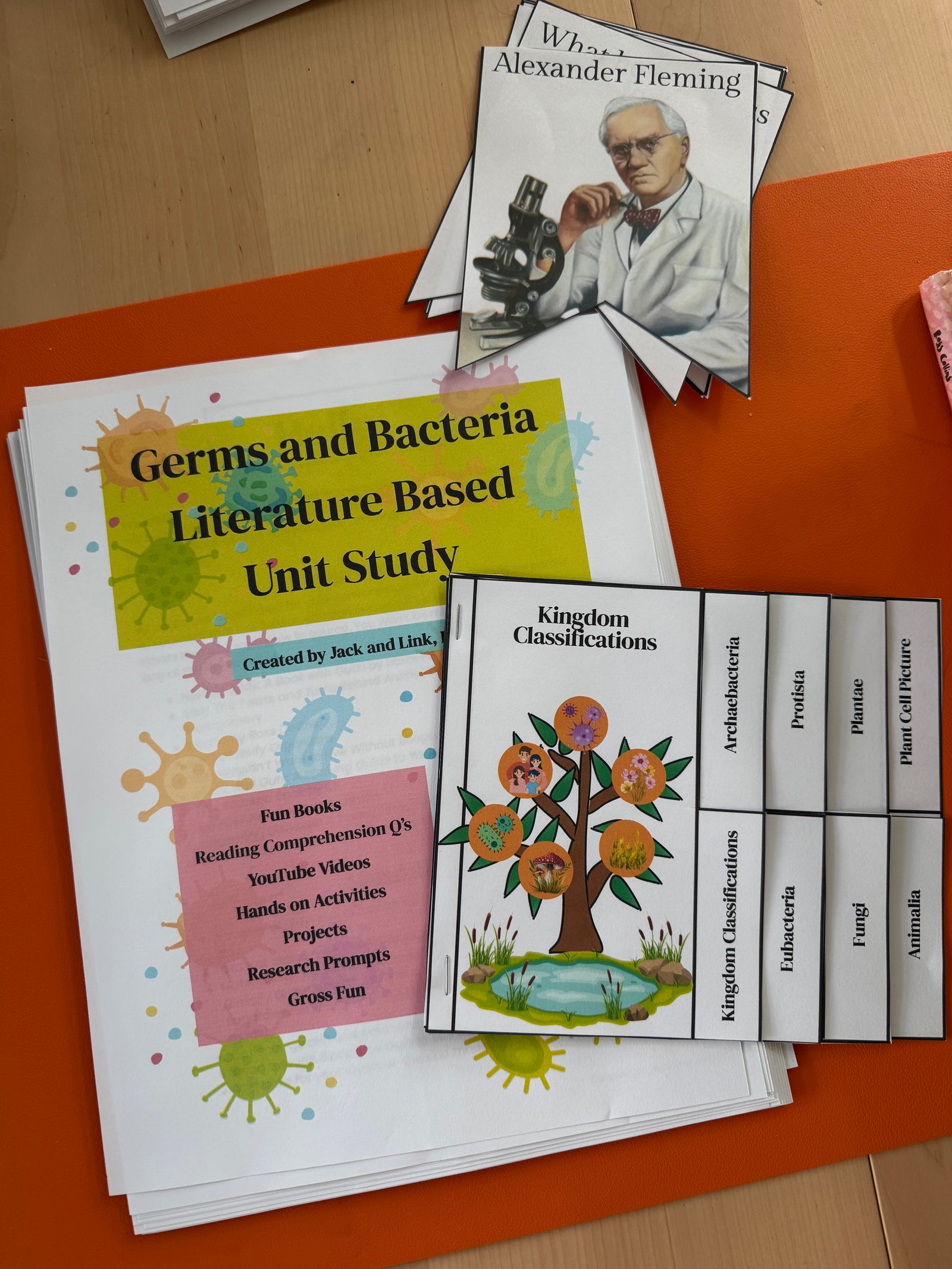 Germs and Bacteria Literature Based Unit Study