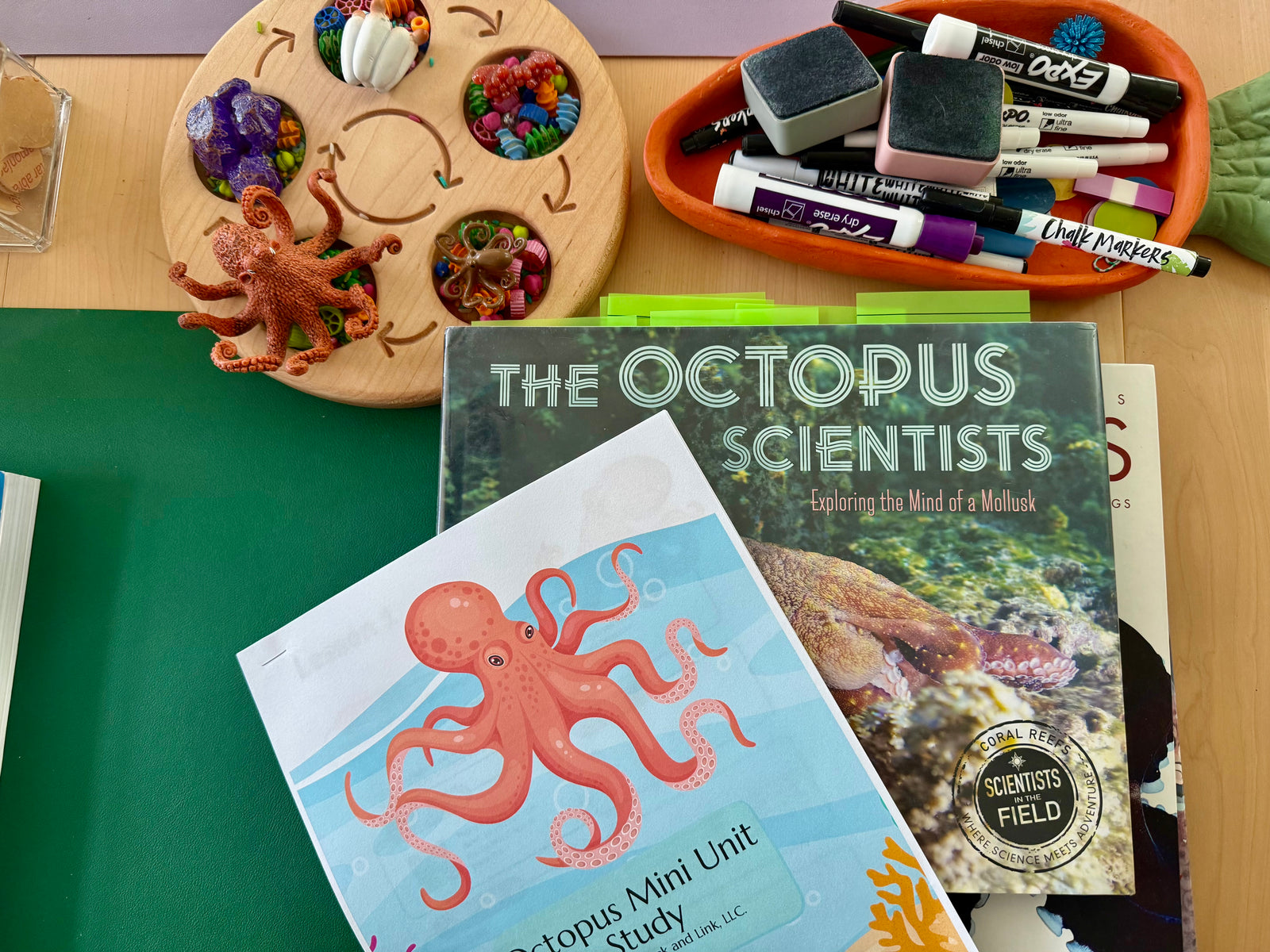 Octopus Mini Guide  (Instagram Subscribers Only)