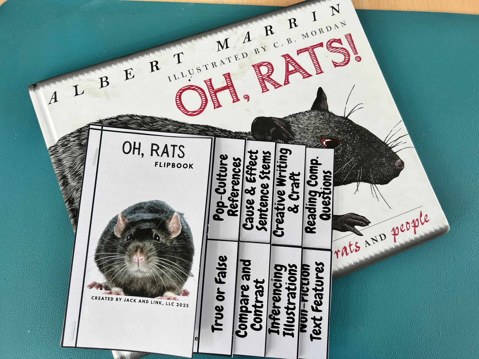 Oh, Rats! Study Guide