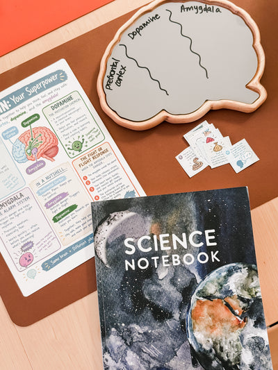 Wooden Brain Board