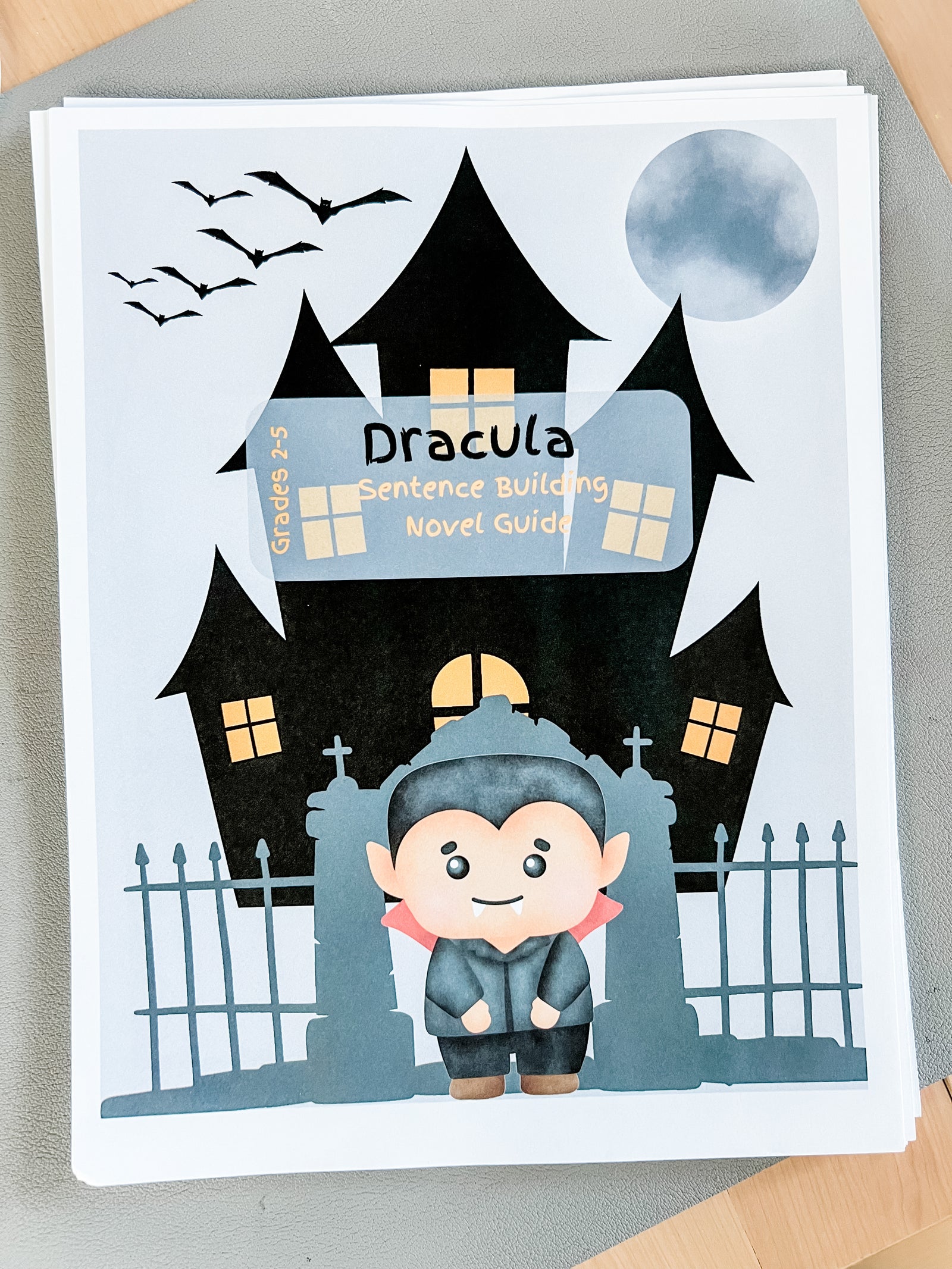 Dracula Novel Sentence Guide