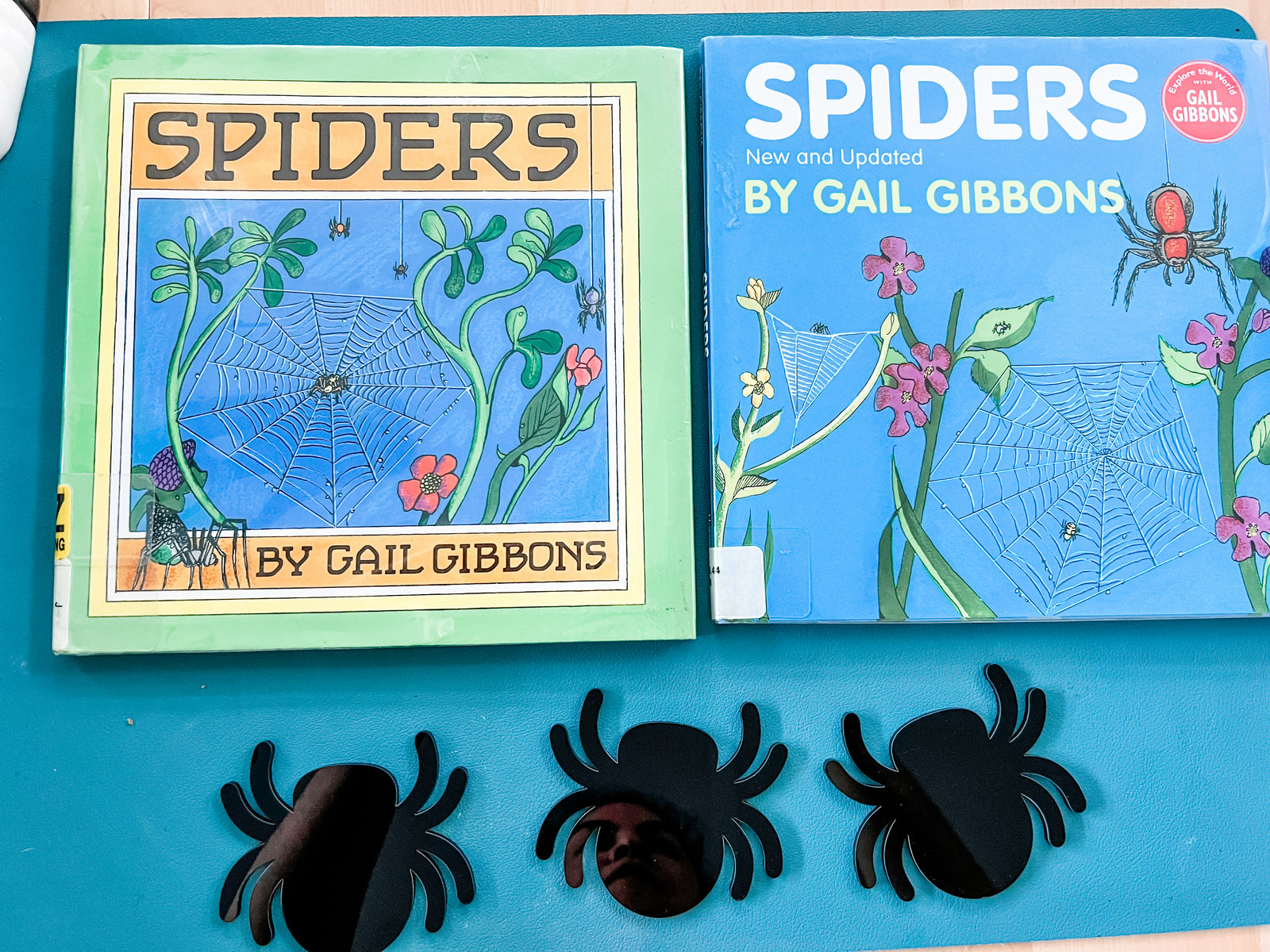 Spiders Book Companion