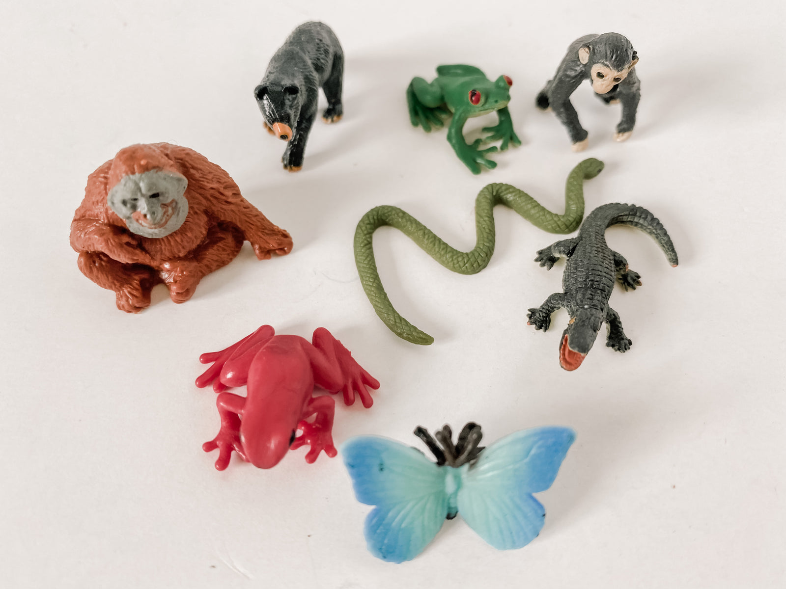 Rainforest  Biome Mini Animals (Set of 8)