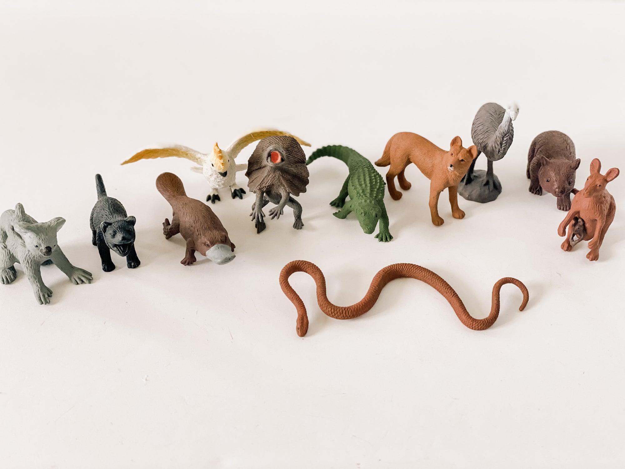 Australian TOOB Biome Animal Figurines