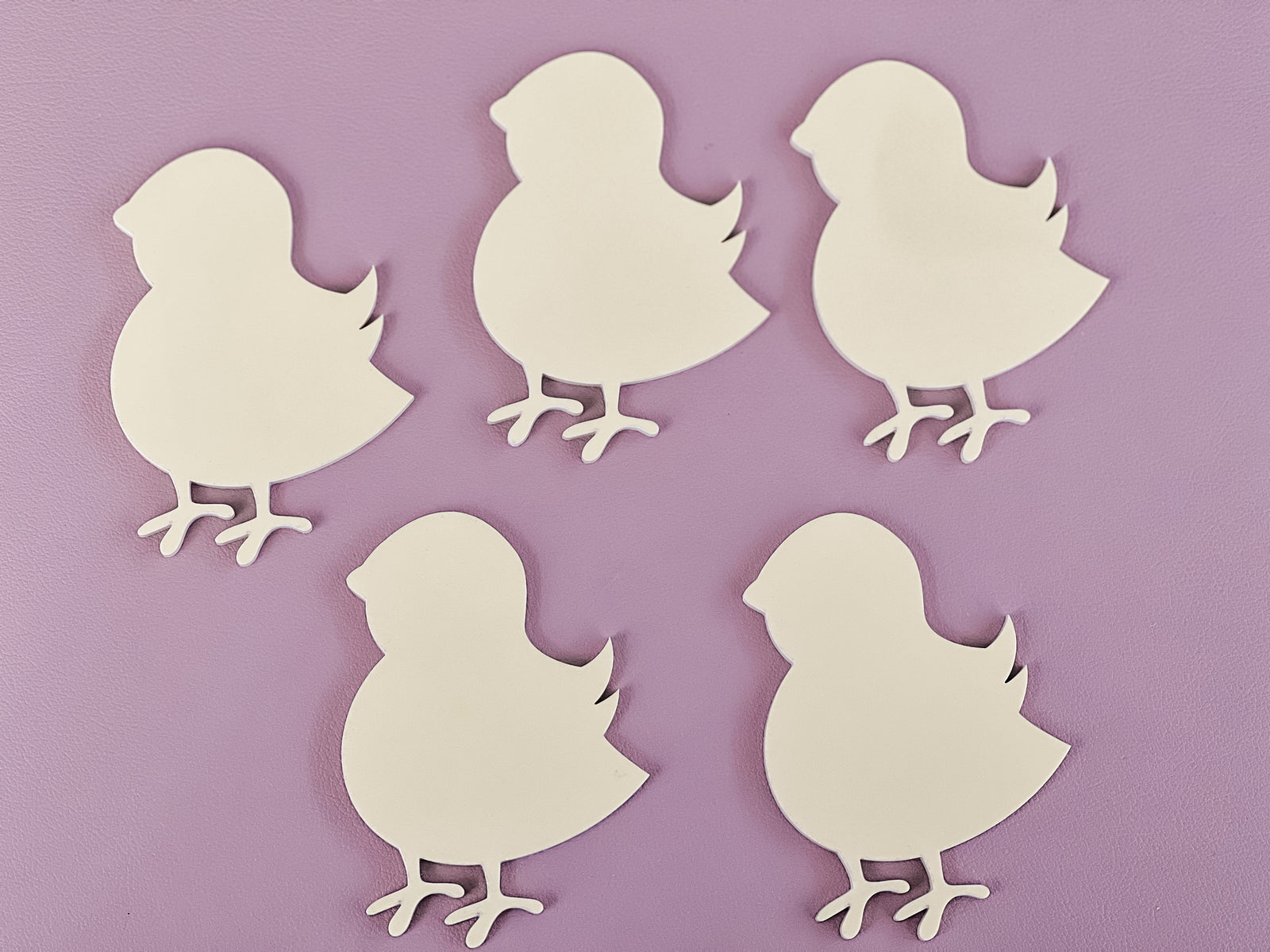 Mini Writables™ (Baby Chicks Set of 5)