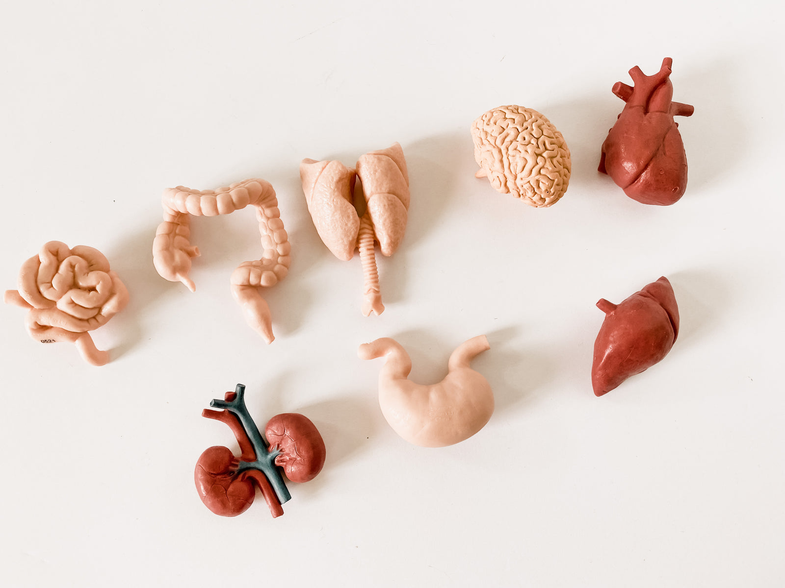 Body Part Mini Figurines