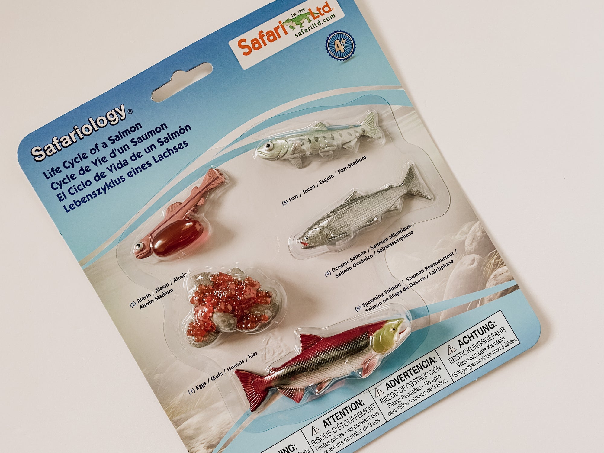 Safari Salmon Life Cycle Figurines - Jack and Link