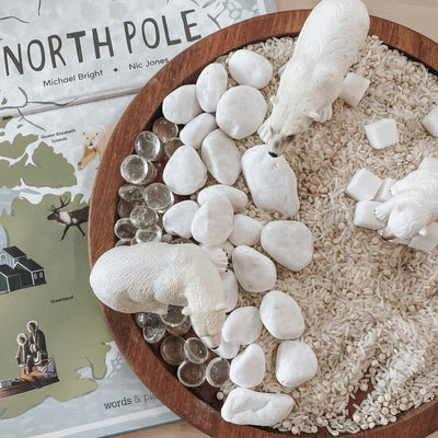 Arctic Sensory Activity Kit