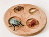 Cicada Life Cycle Figurines