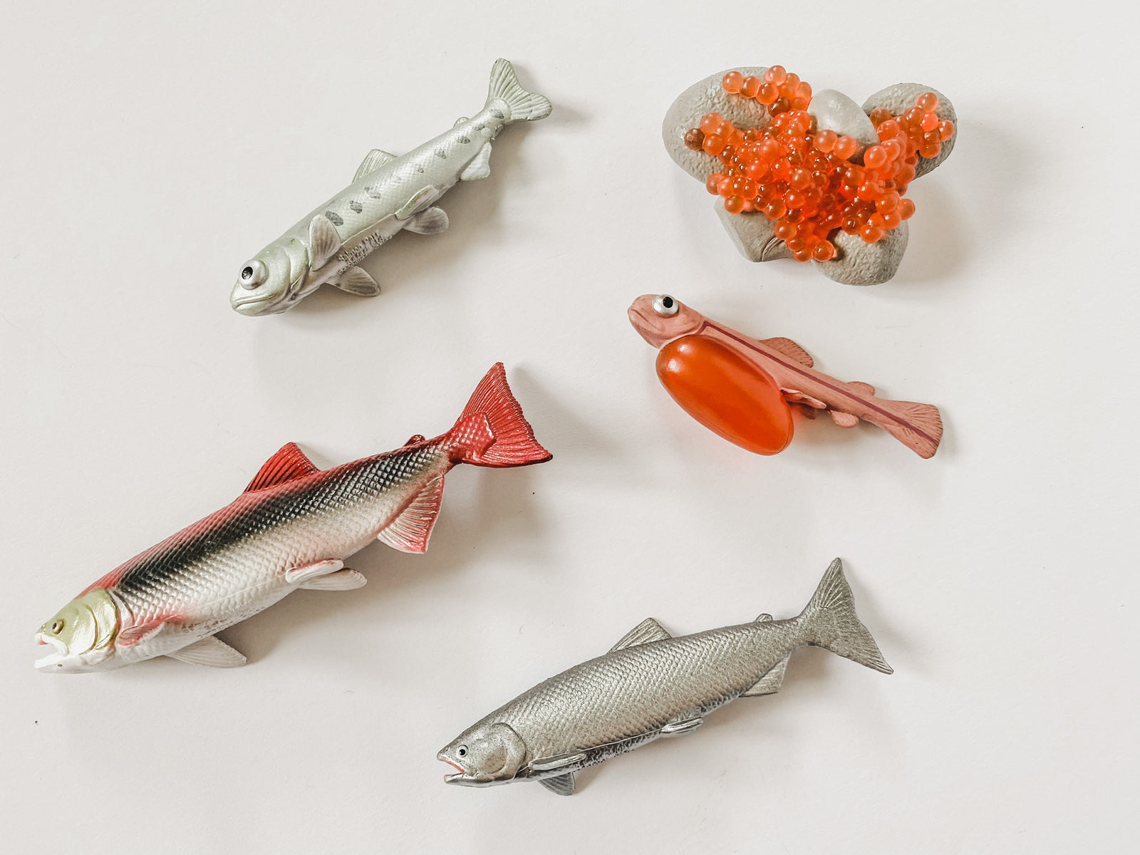 Salmon Life Cycle Figurines