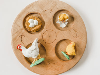Chicken Life Cycle Figurines