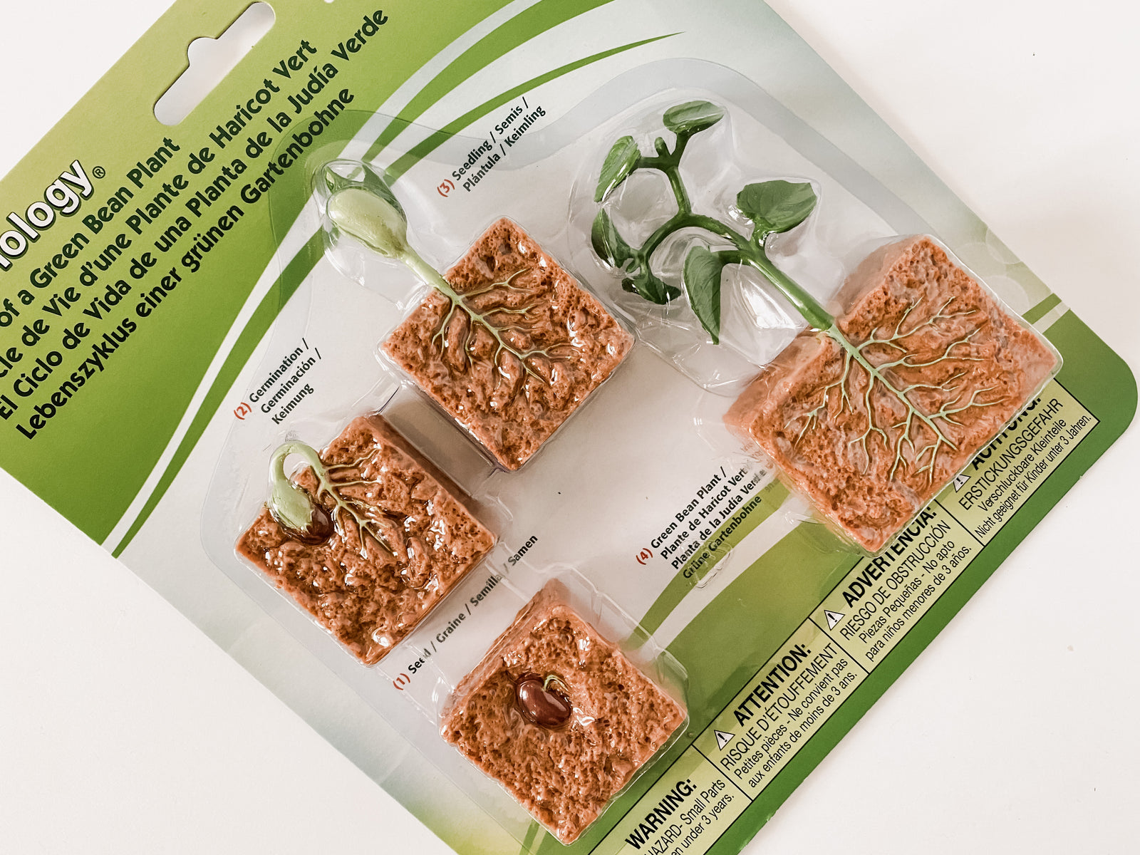 Bean Plant Cycle Figurines