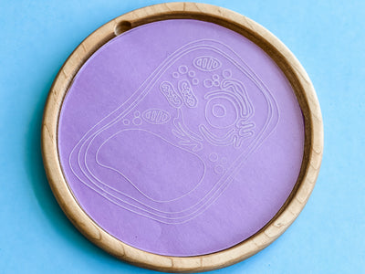 Easy Dry Erase Plant Cell Board™