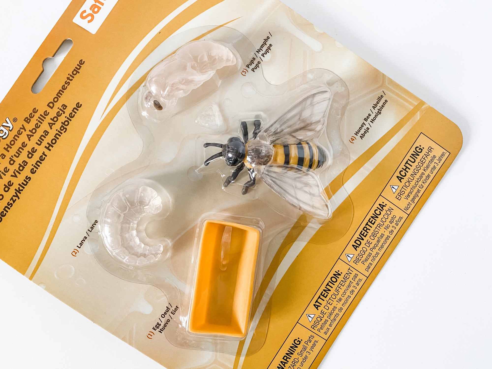 Honey Bee Life Cycle Figurines
