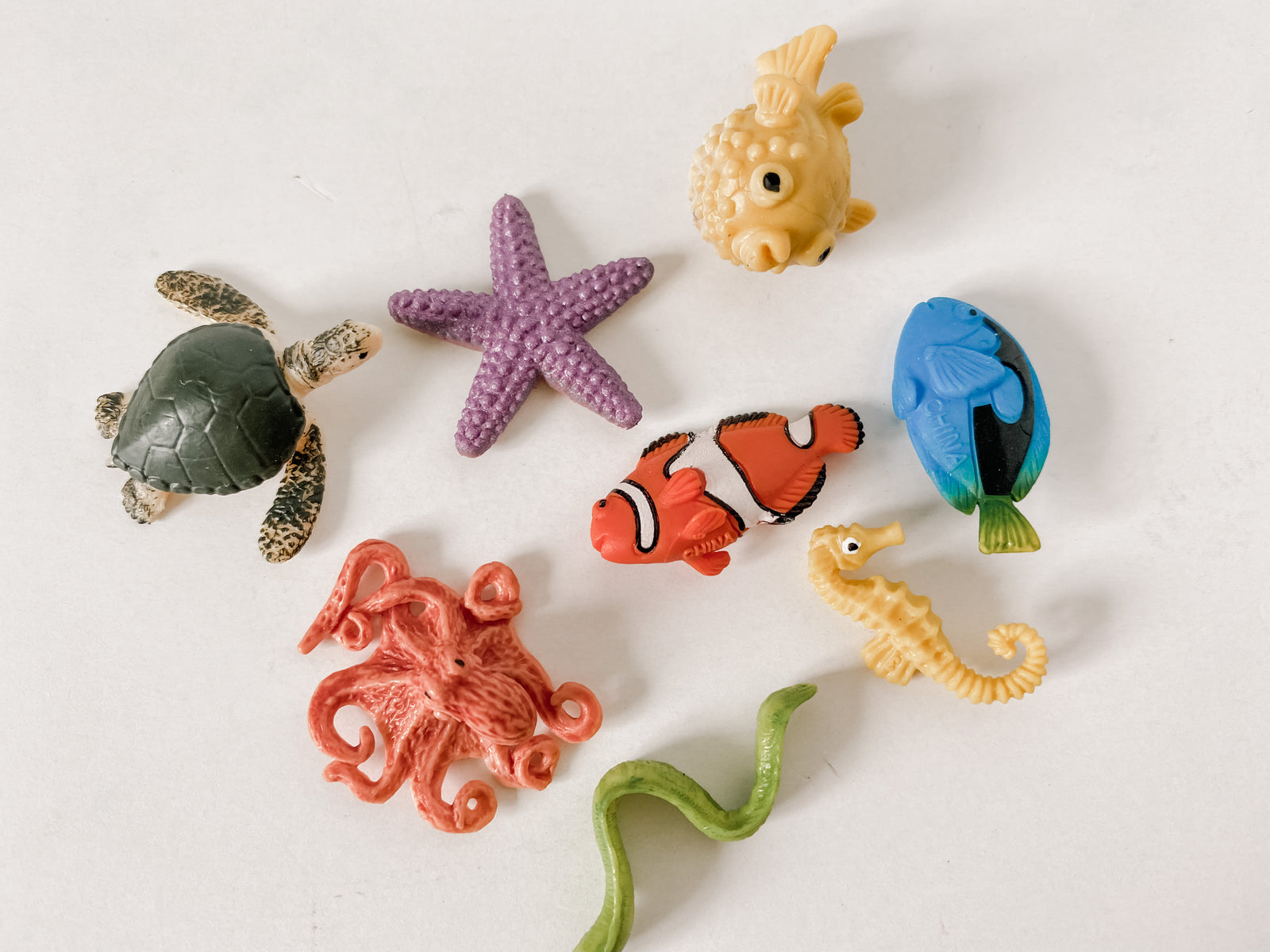 Coral Reef Biome Mini Animals (Set of 8)