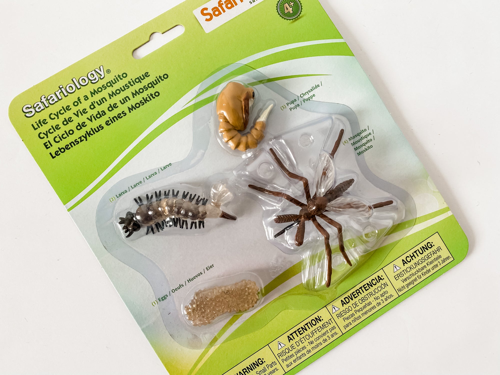 Mosquito Life Cycle Figurines