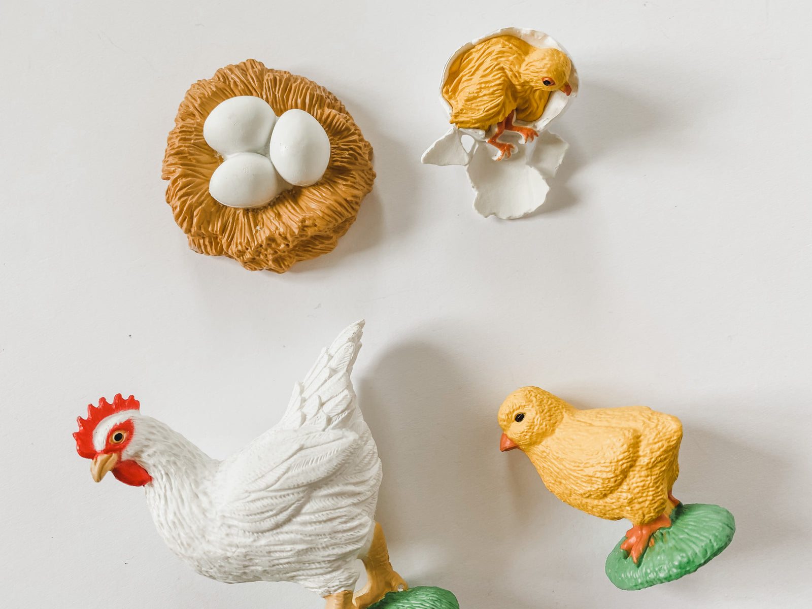 Chicken Life Cycle Figurines