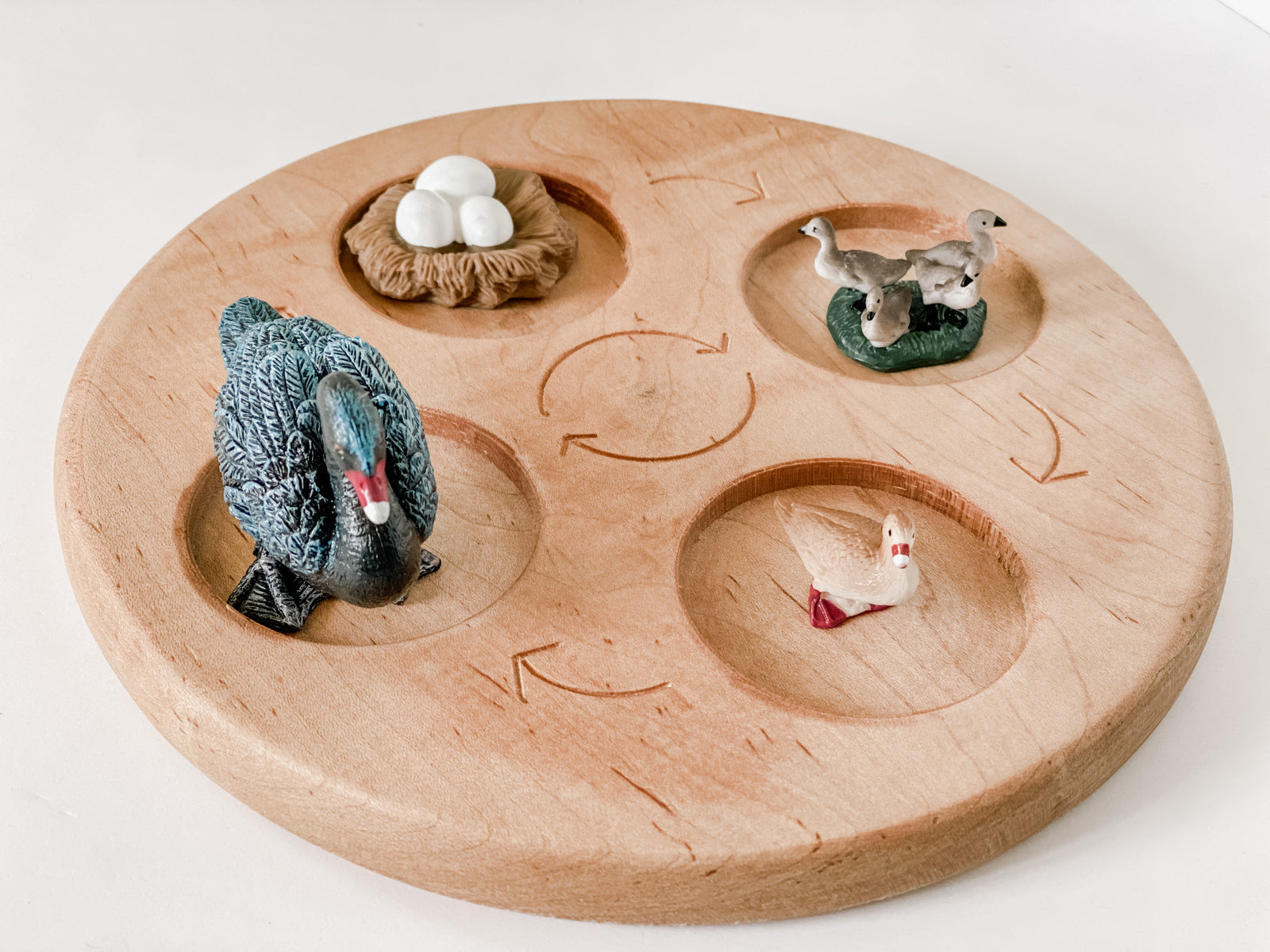 Black Swan Life Cycle Figurines