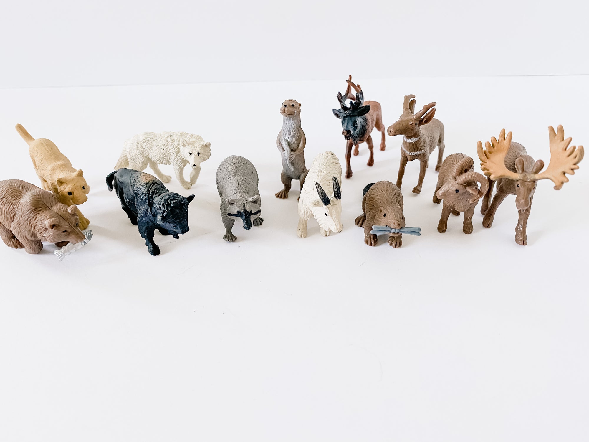 North American Mammal Animal Figurines