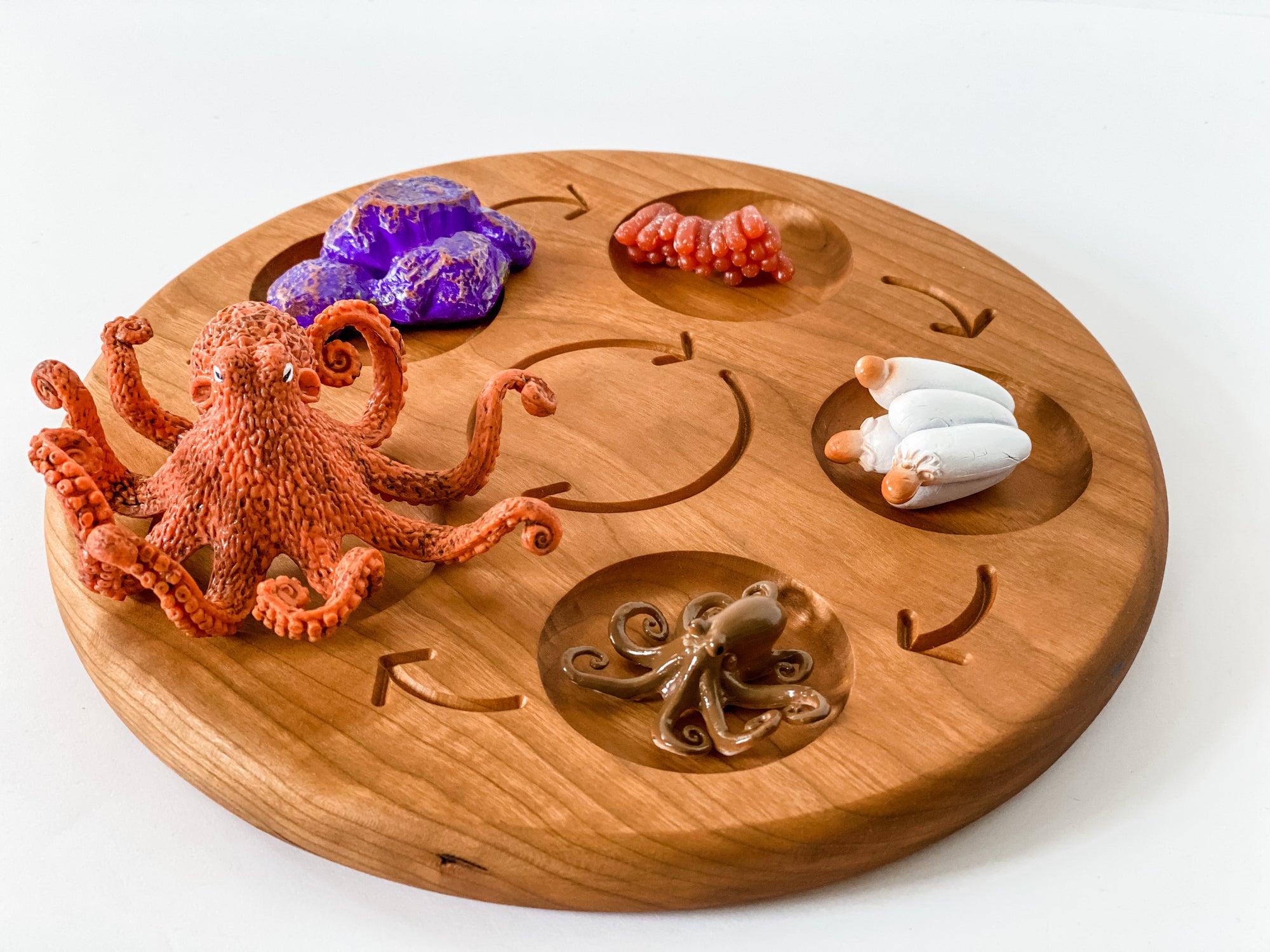 Octopus Life Cycle Figurines