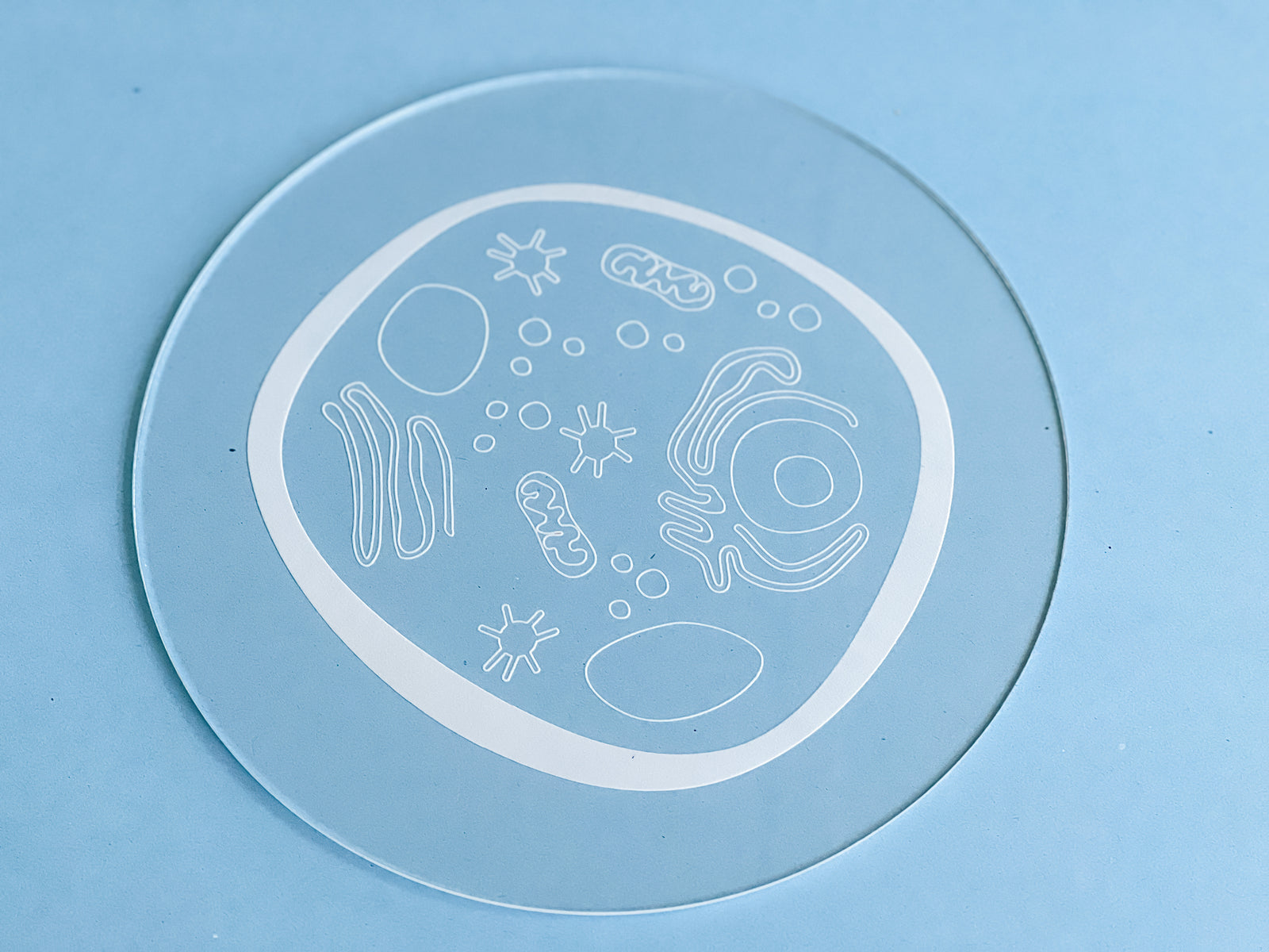 Easy Dry Erase Animal Cell Board™