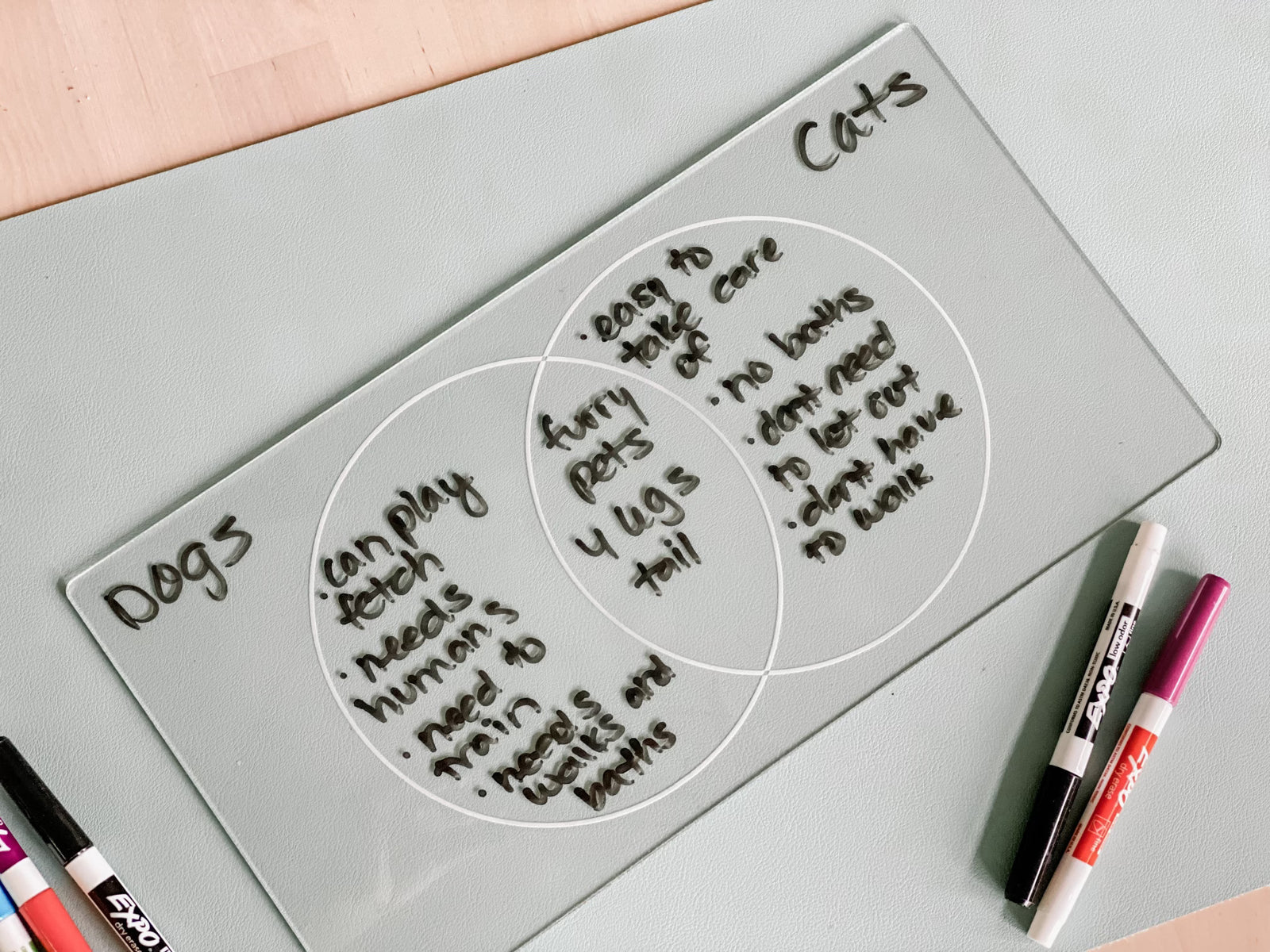 Easy Dry Erase Venn Diagram Board™